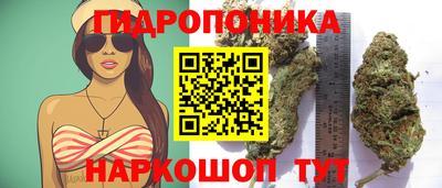 MDMA Жуковский