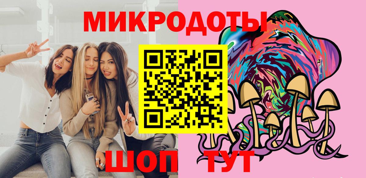 Псилоцибиновые грибы Psilocybine cubensis Минеральные Воды